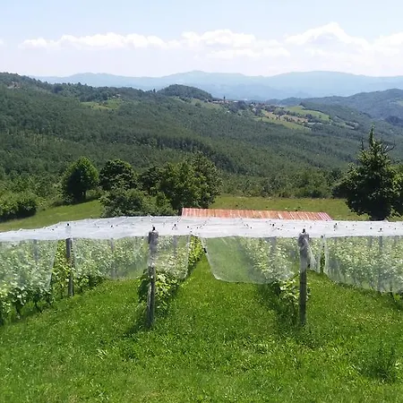 Casa Vacanze Rovere Pianelleto